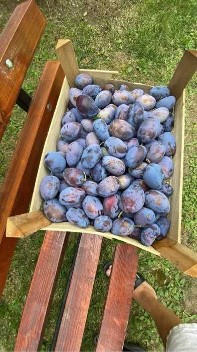 Vand Prune de Tuica si Palinca