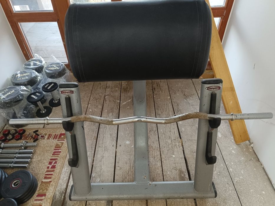 Bănci discuri gantere bări