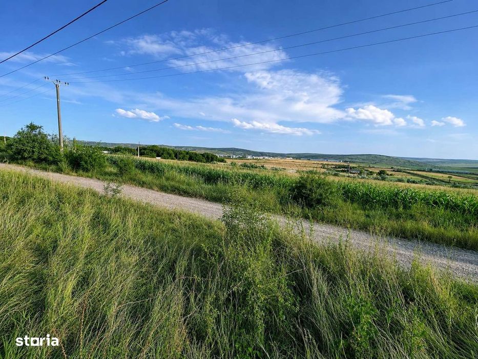 Teren pentru Hală 1000 mp zona Metro lângă Zeelandia, Aproape E85
