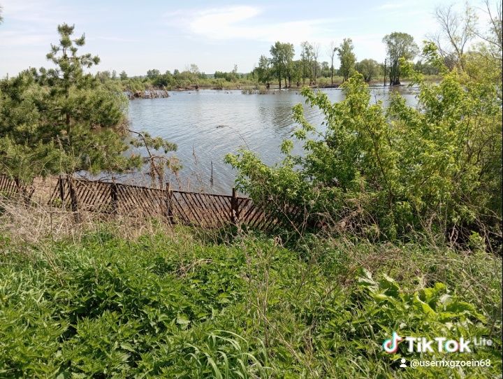 Продам мед разнотравие.