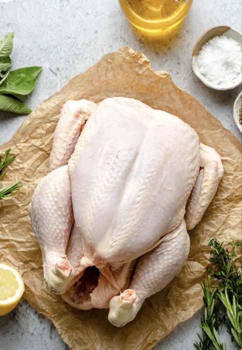 Продам курей бройлер