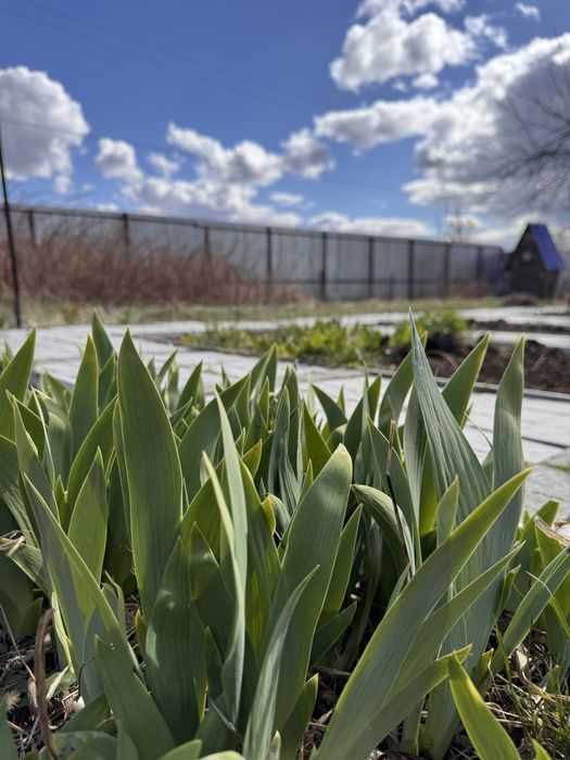 Продам дачу в СО ДАРХАН