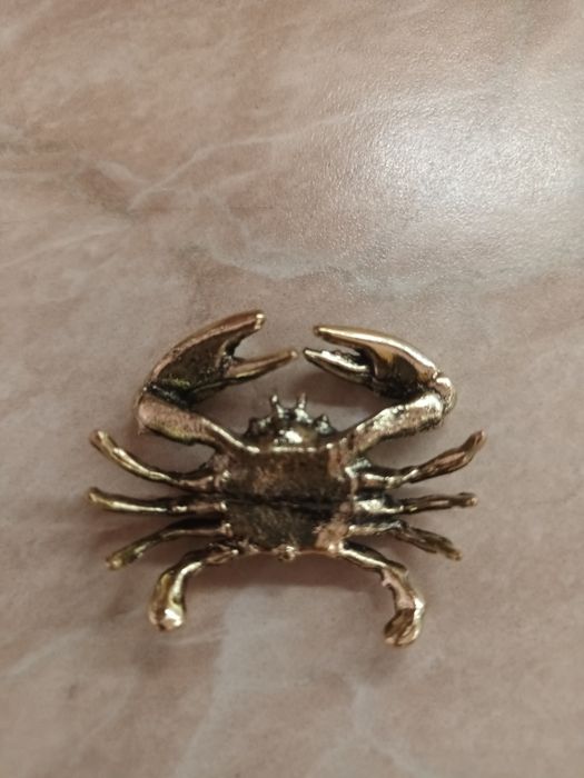 Бронзов морски лот за колекция