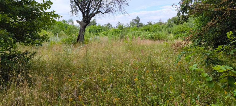 Продава се Парцел в Варна, Галата - 1150 кв.м за 157 €/кв.м - Снимка #4