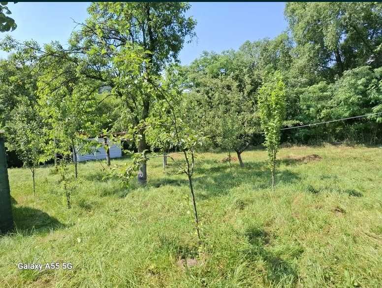 Vând casă cu livada în Câmpulung Muscel 3 camere și teren 1320 mp