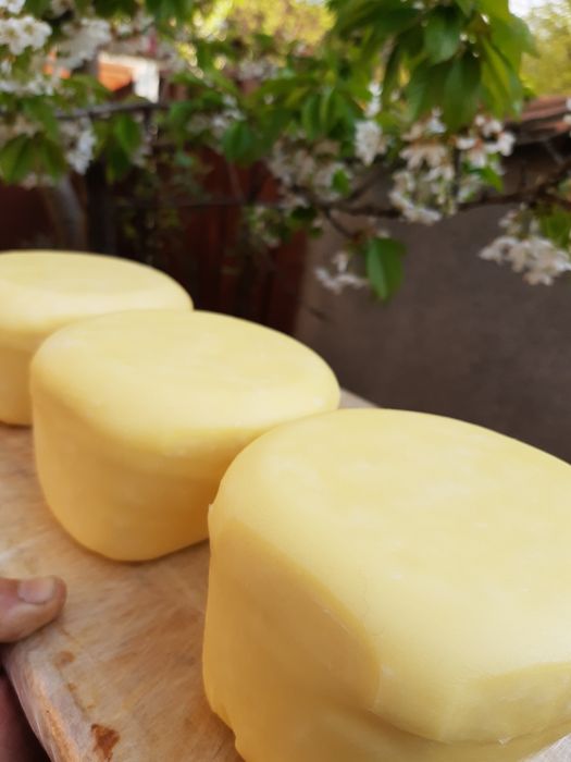 Vând cașcaval și brânzeturi din lapte de vacă bălțată românească