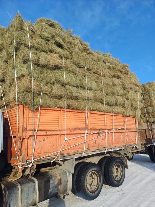 Продаем тюковое сено хорошего качества