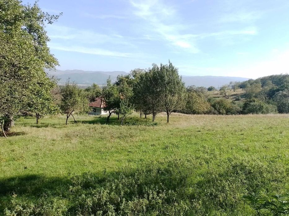 1,5 ha cu 2 case vechi, livadă și izvor lângă Via Transilvanica