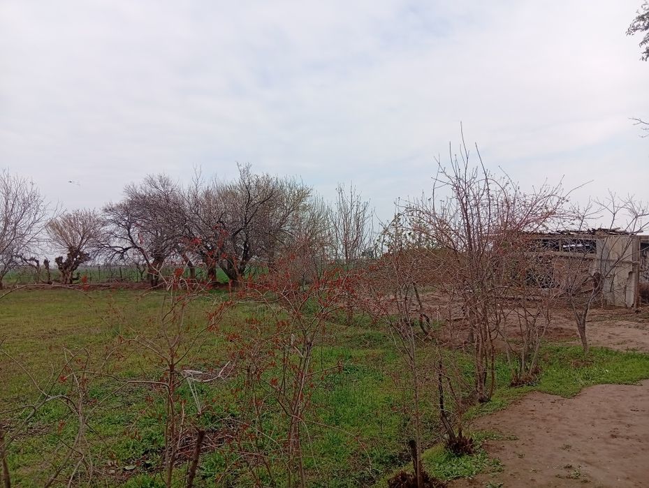 7 hona uy 23 sotix erli hovli sotiladi