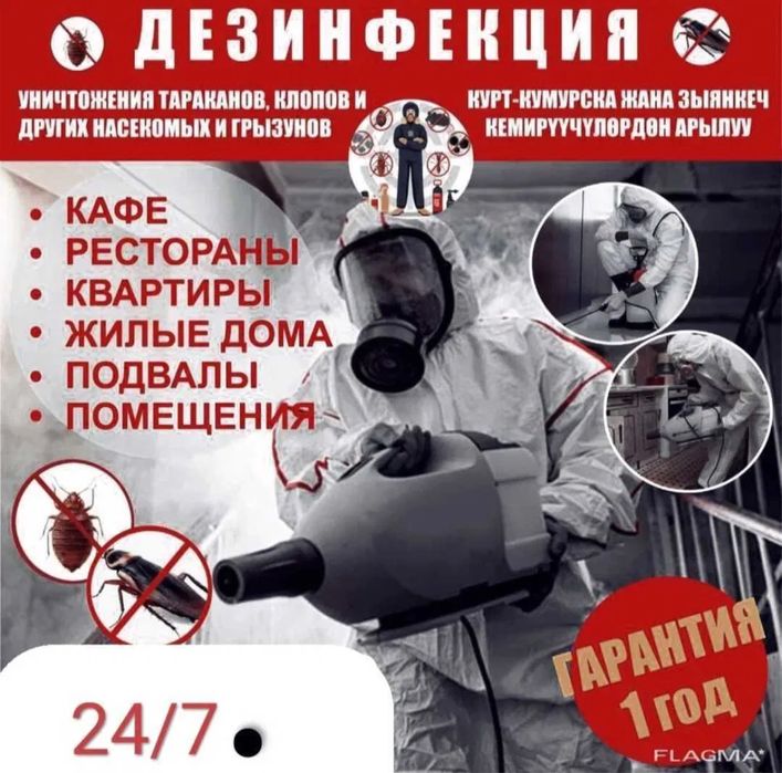 профессиональная дезинфекция Dezinfeksiya xizmati