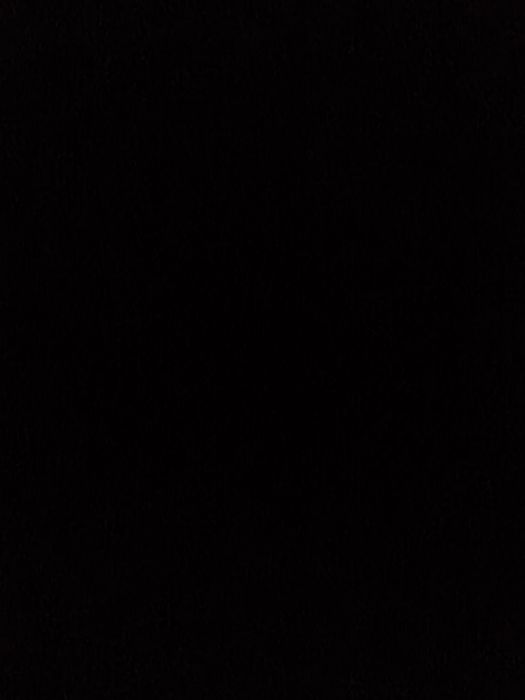 Шотландский котенок