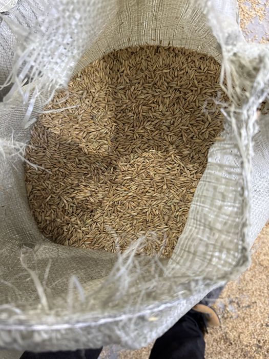 Продам сечку пшеницы, зерносмесь, отруби