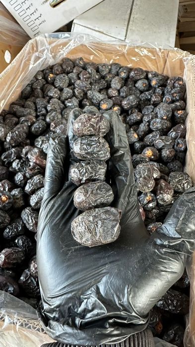 Финики Аджва Саудия