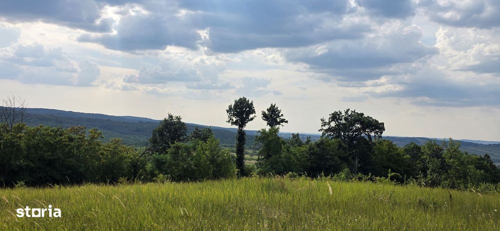 Teren Extravilan 9.528mp/ Vârciorog -Bihor / 30 km de Oradea