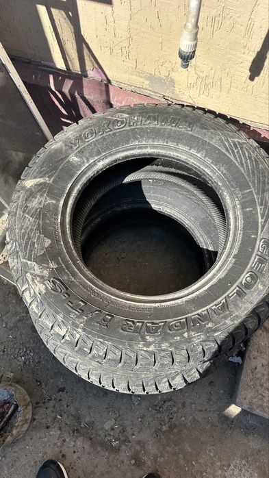 Шин зима yakohoma 265/70/17