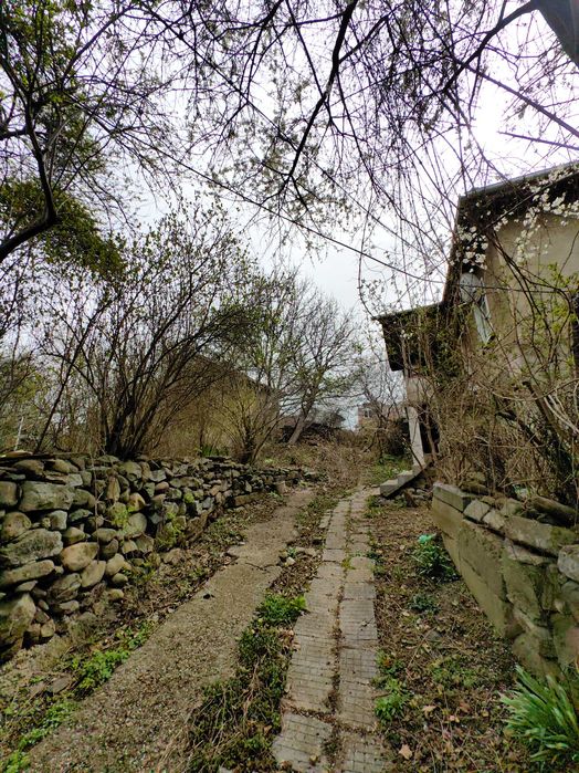 Продава се Парцел в с. Панчарево, Област София-град - 725 кв.м за 414 €/кв.м - Снимка #3