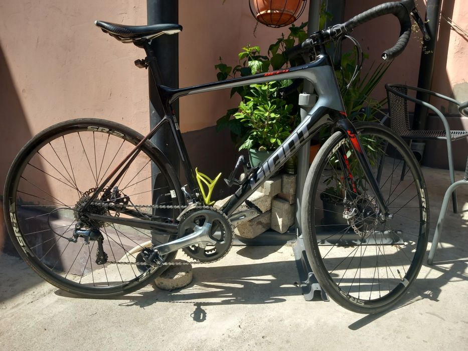 Cursiera giant carbon