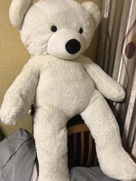 Большой белый медведь