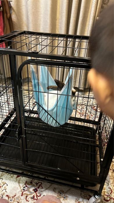 Продам клетку для кролика новый
