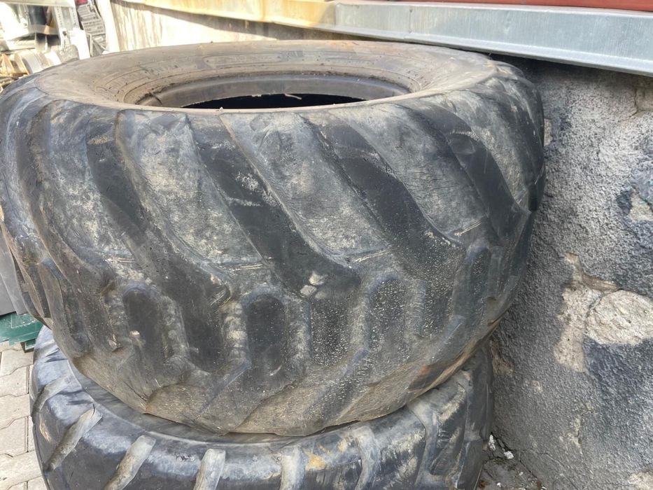 cuciucuri de vanzare