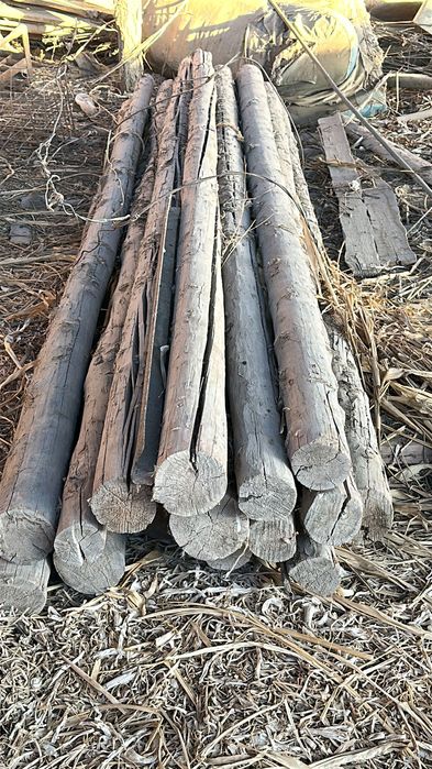 10 лик 4 метрдан