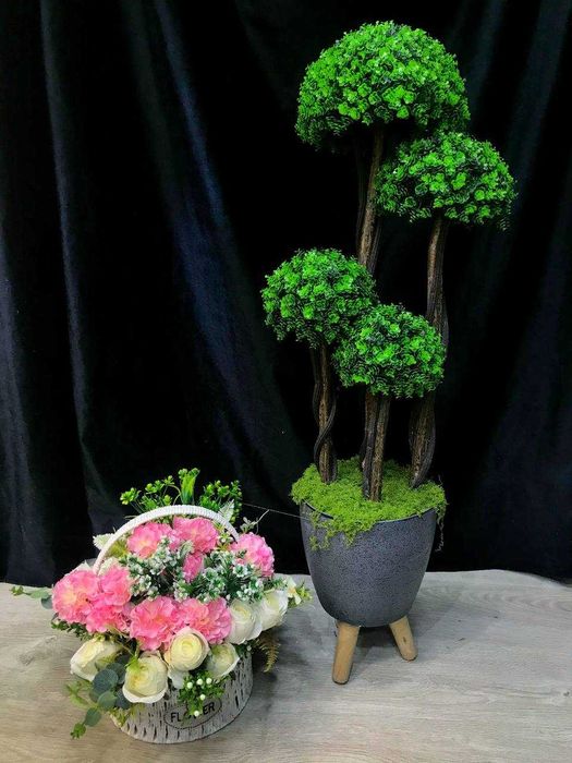 Дерево на горшке для Дома, Квартиры, Офиса, Кафе