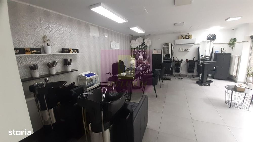 Spatiu Comercial Stradal Șoseaua Colentina zona Teiul Doamnei Suveica