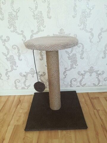 Когтеточки для кошек