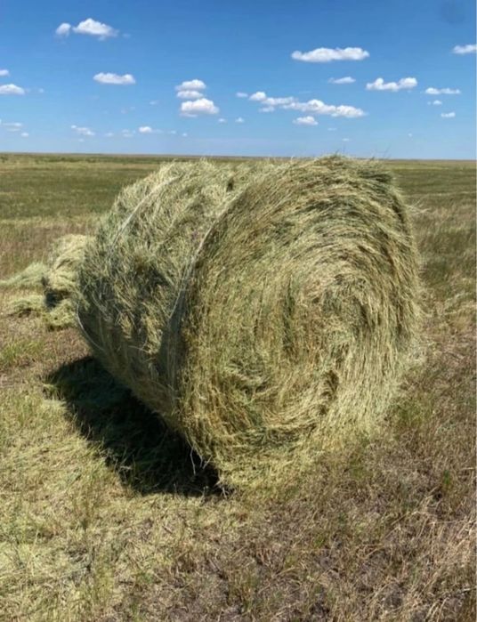 Продается сено в рулонах