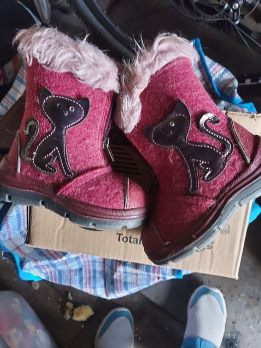 Сапожки Котофей.