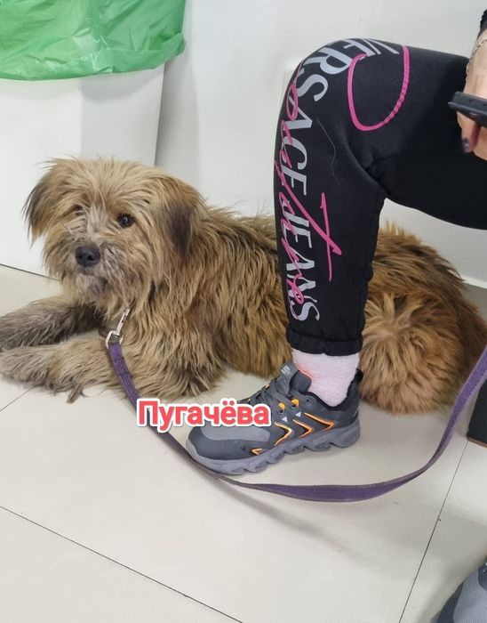 Дарю в добрые и ответственные руки