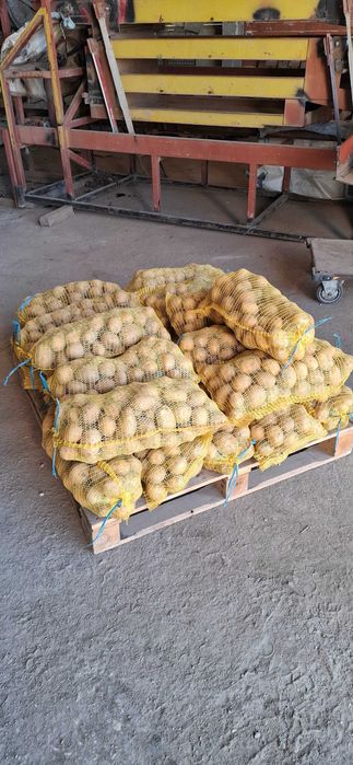 Картофи за консумация