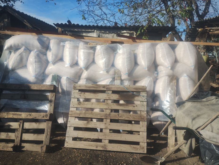 Boabe porumb 0,90/kg