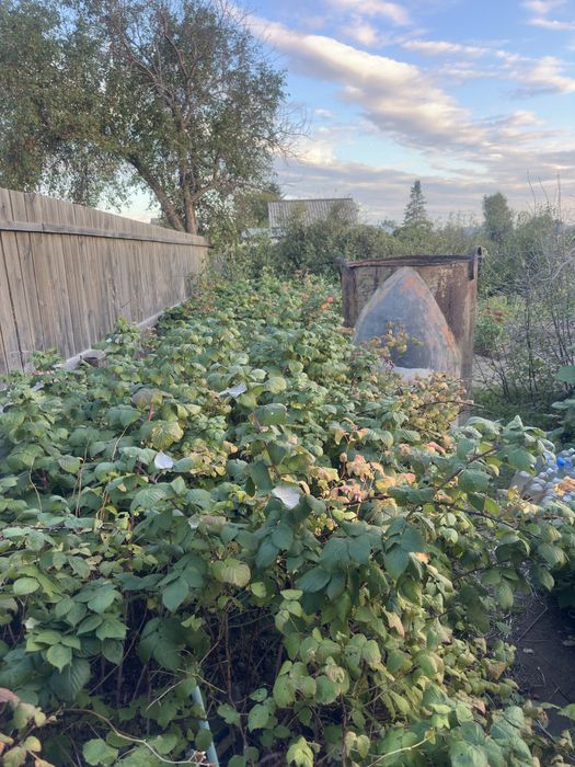 Продётся дача 17 маршрут