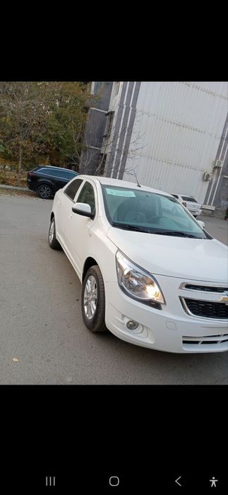 Cobalit 2025 sitail packa salon holata yangi 650km yurgan holos k