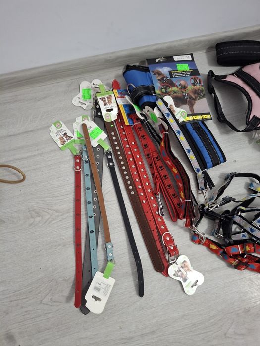 Caini si pisici accesori