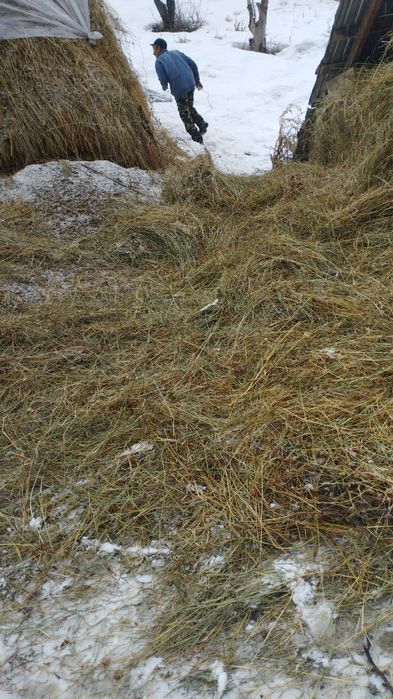 Сено ,скирда, в Алмате