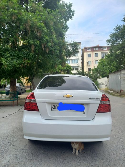 Nexia 3 Chevrolet 2022 звонить только реальным клиентам