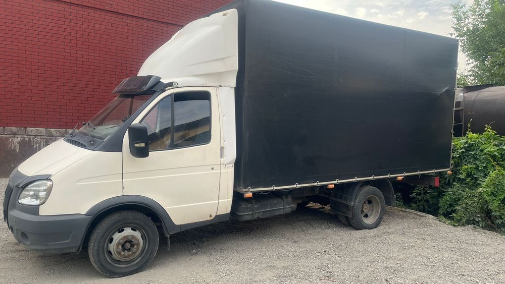 Порно гейлер өз жыныстарын ысқылайды