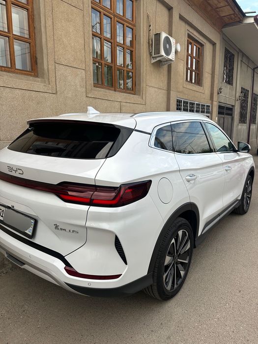 BYD Chempion Restaling 2024