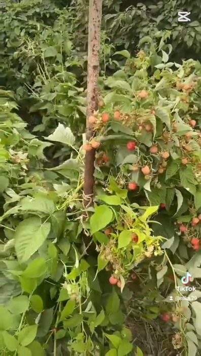 Үй сатылады Қабанбай ауылы