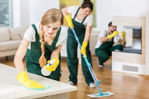 Claus Cleaning  profesională