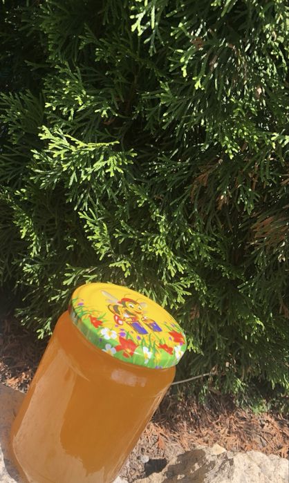 Натурален пчелен мед