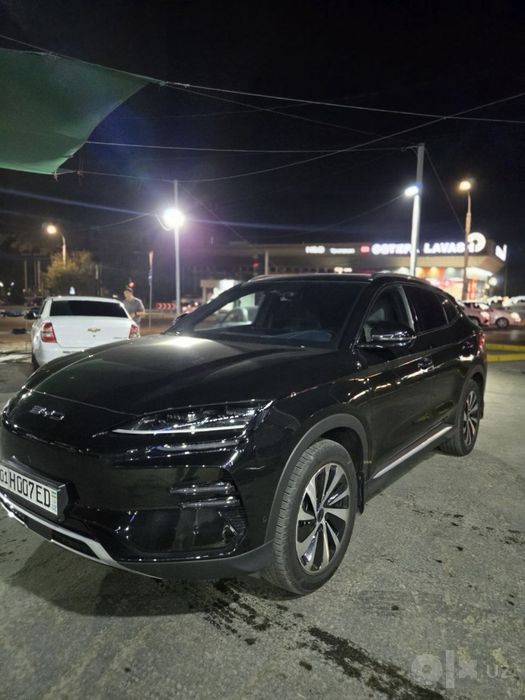 Byd champion 605 toza