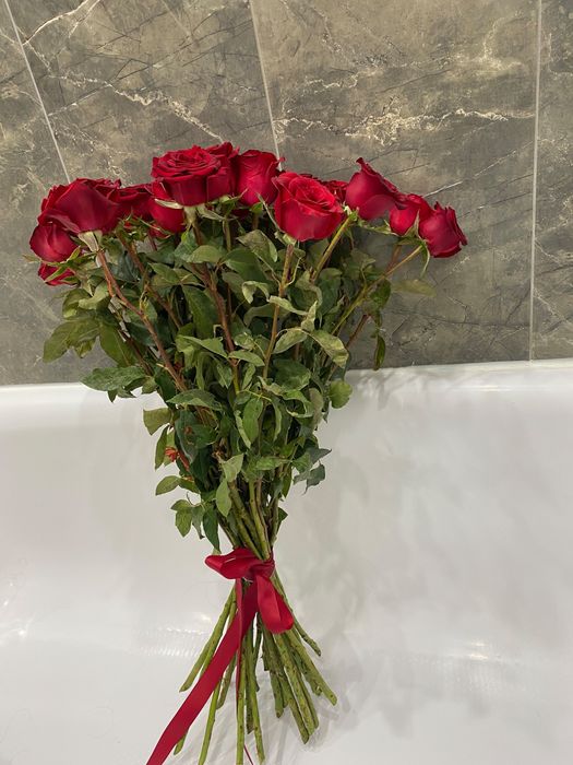 Цветы розы свежие 25 штук