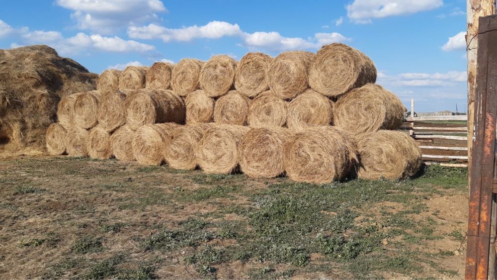 Продам сено рулон 110