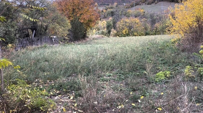 Продава се Къща в с. Овчарово, Област Търговище - 2000 кв.м за 8 €/кв.м - Снимка #3