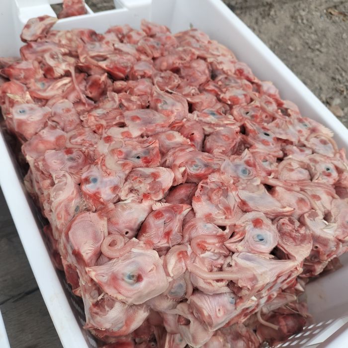 Куриный фарш для собак и кошек