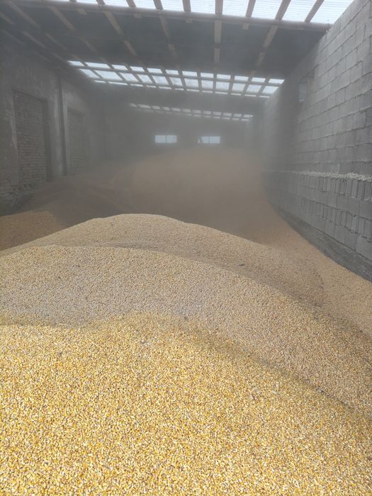 Силас кукуруза жом барда