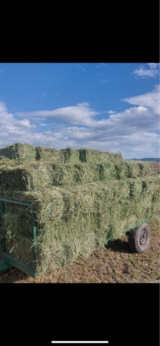 Vand baloti de lucerna